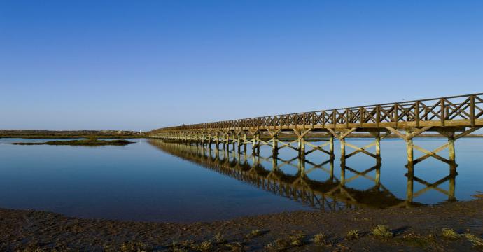 Monte Da Quinta Resort - Image 4