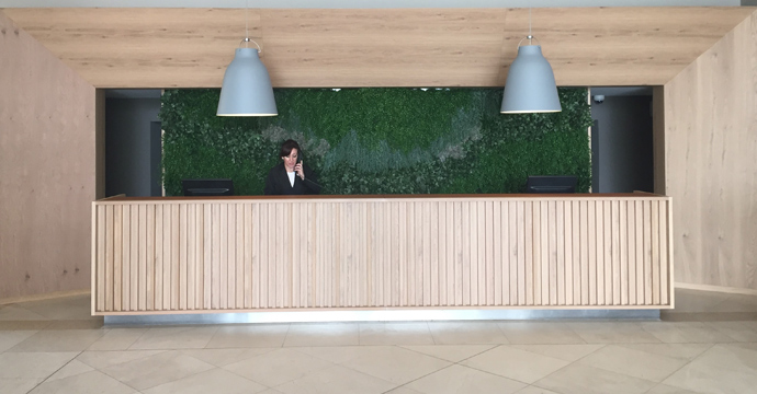 Yellow Monte Gordo - Image 13