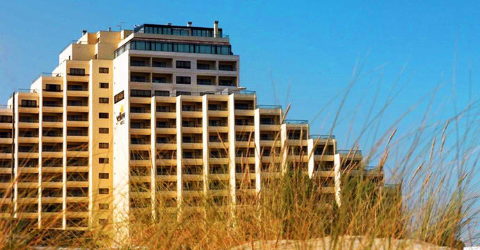 Yellow Monte Gordo - Image 7