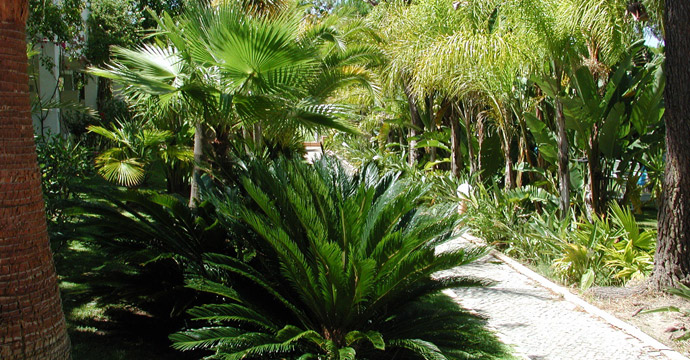 Ria Park Garden Hotel - Image 16