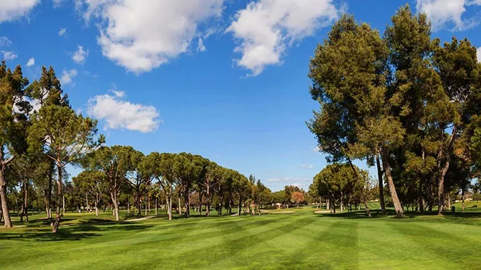 Spain golf courses - Real Club Pineda de Sevilla - Photo 4