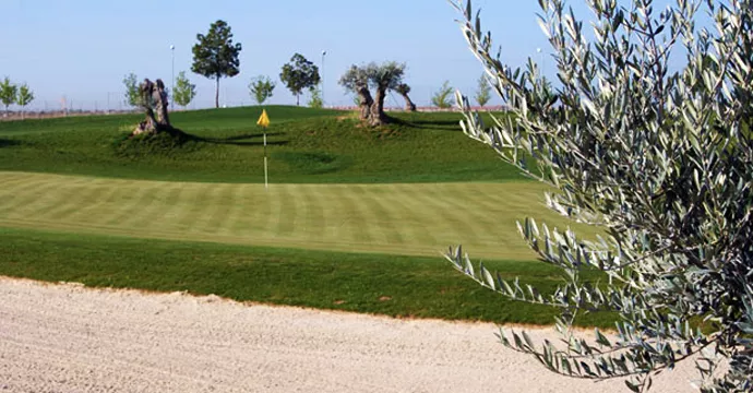Spain golf courses - Señorío de Illescas Golf Course - Photo 4