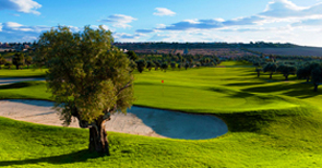 La Finca Golf Course. Top Ranked Golf Courses