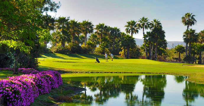 Las Americas. Tenerife Golf set to erupt with Azalea