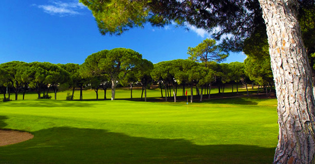 Top Notch - Vilamoura Old Course