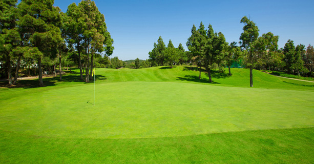 Malaga Golf Experience – Buggies included - Baviera, Chaparral, Lauro and Añoreta