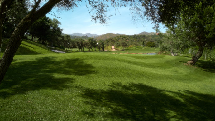 Spain Golf Courses | Marbella  & Country Club - Photo 6 Teetimes