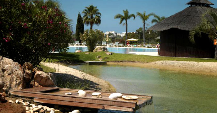 Yellow Alvor Garden - Image 1