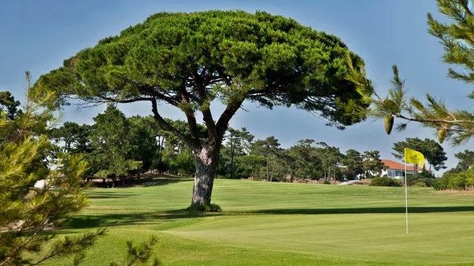Portugal golf courses - Golf Estoril