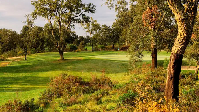 Portugal golf courses - Ribagolfe Oaks Golf Course (ex Riba II) - Photo 6