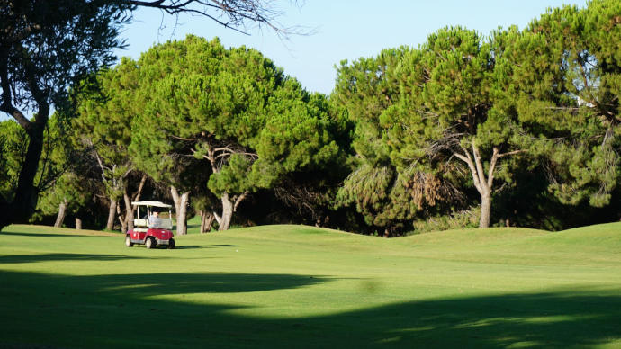 Spain golf courses - Añoreta Golf course - Photo 8