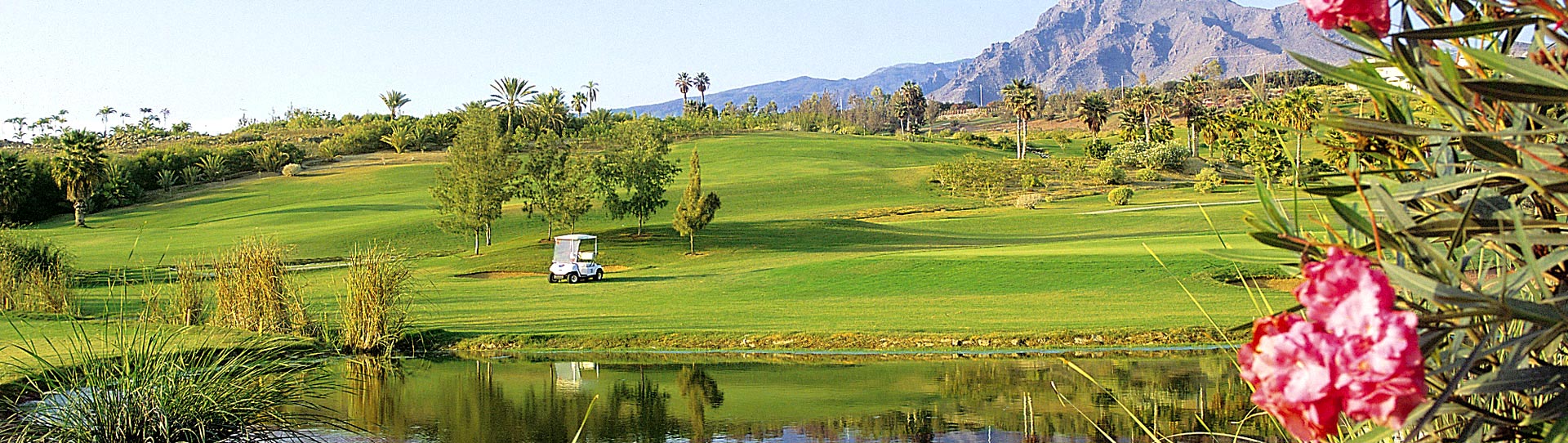 Spain golf courses - Las Américas Golf Course - Photo 2