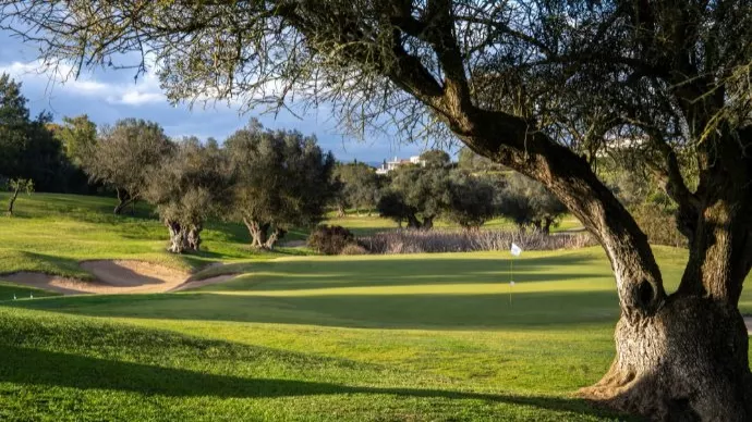 Portugal golf courses - Vale da Pinta Golf Course - Photo 20