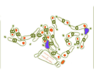 Las Colinas Golf & Country Club Golf Course map