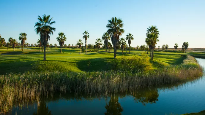 Salgados Golf Course Image 6