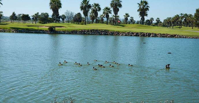 Salgados Golf Course - Image 9