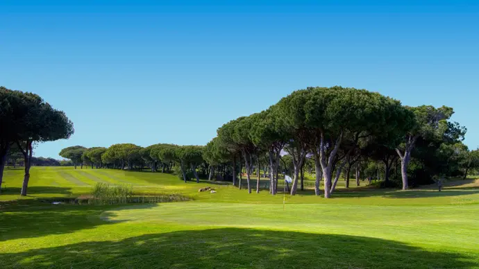 Vila Sol Golf Course Image 17