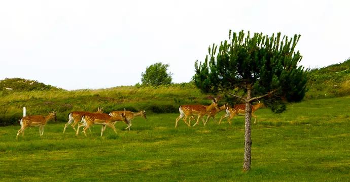 Spain golf courses - La Rasa de Berbes Golf Course - Photo 5