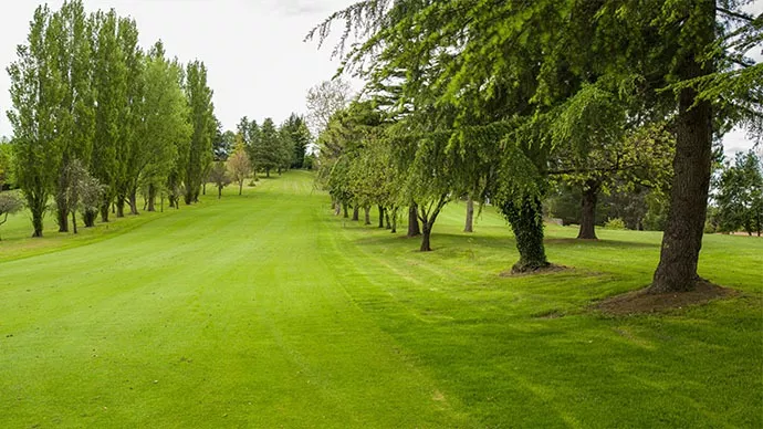 Spain golf courses - Real Club de Golf Castiello - Photo 12