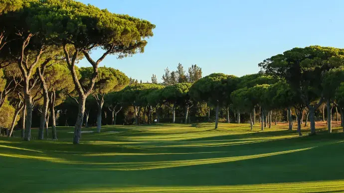 Portugal golf courses - Vilamoura Millennium Golf Course - Photo 9