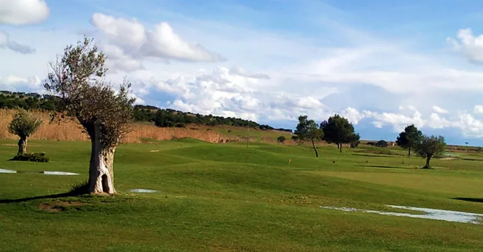 Spain golf courses - Villarrin Golf Course - Photo 2