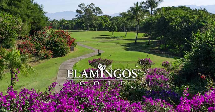 Flamingos Golf at Villa Padierna - Image 1