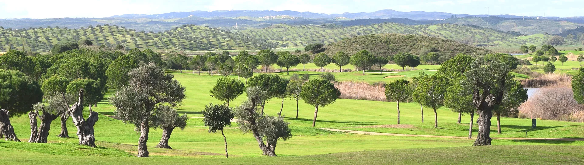 Spain golf competitions - 1st Border Cup 2024 - Photo 1