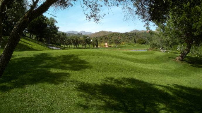 Marbella Golf & Country Club - Image 6