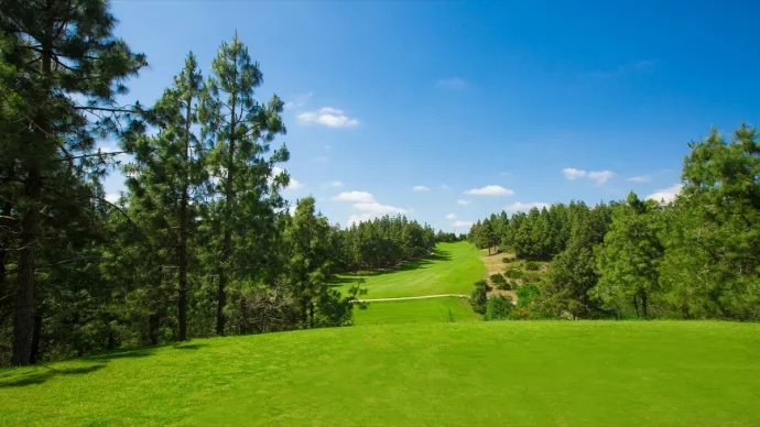 Spain golf courses - Chaparral Golf Course - Photo 10