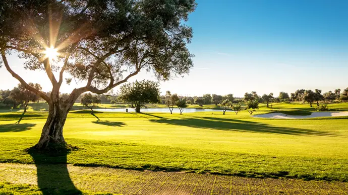 Quinta de Cima Golf Course Image 10