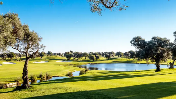 Quinta de Cima Golf Course Image 4