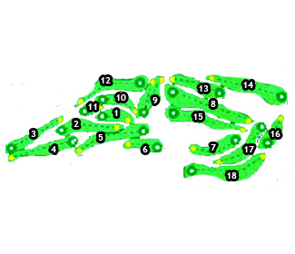 Costa Brava Golf Course Red Golf Course map