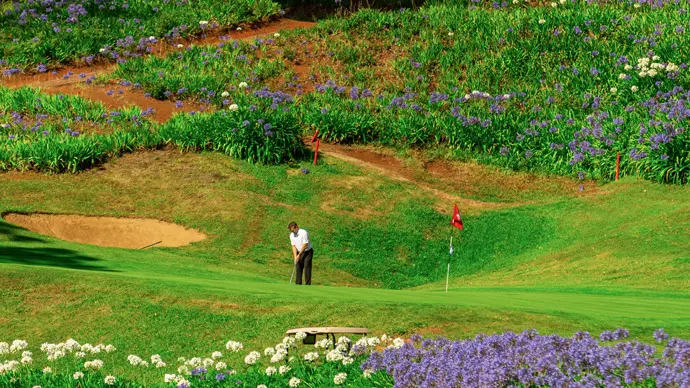 Palheiro Golf Course Image 3