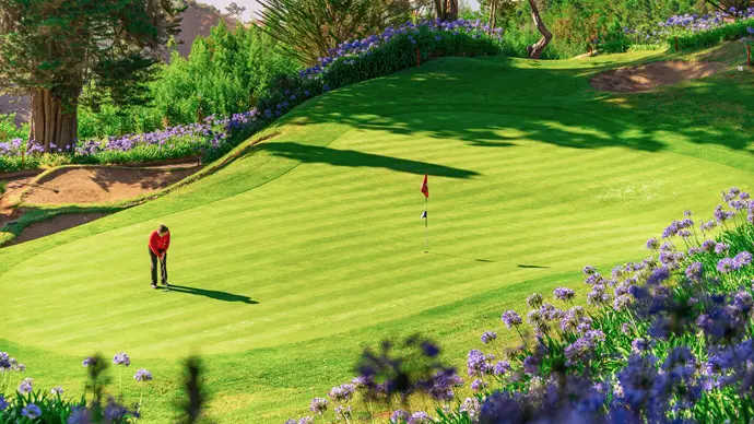 Palheiro Golf Course Image 5