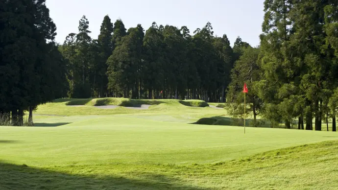 Furnas Golf Course Image 5